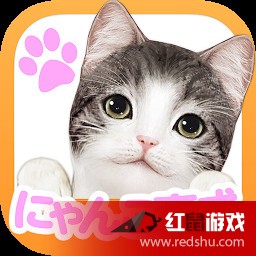 猫咪成人app